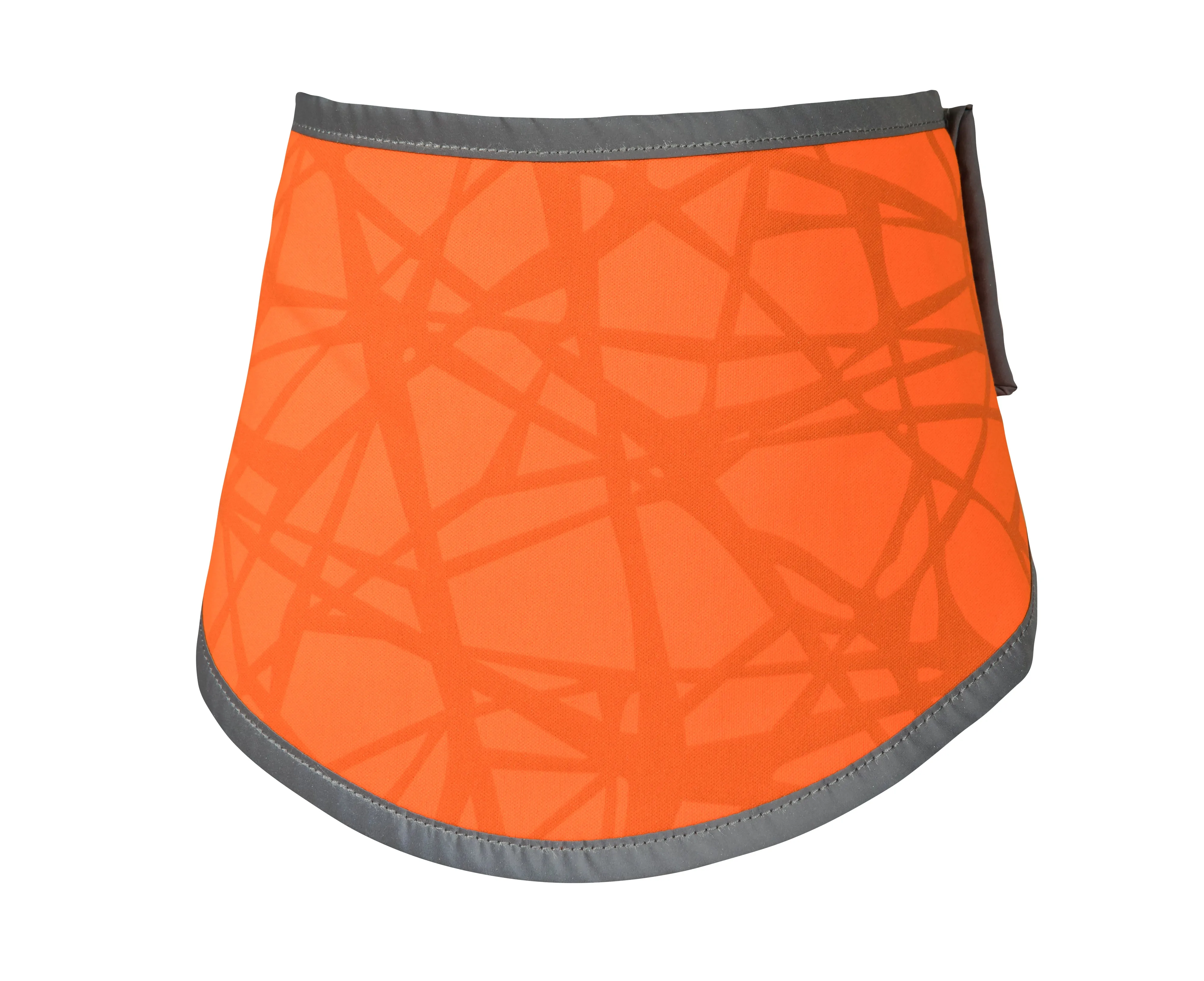 Highly visible Draco dog bandana